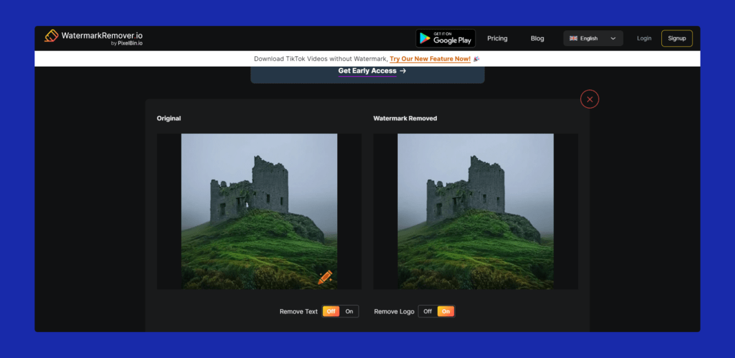 watermark remover review